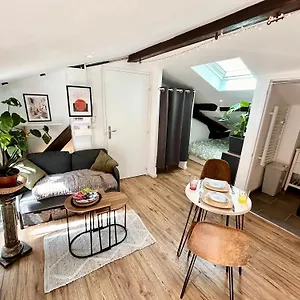 Appartement Loft Hortensia Climatise Hyper Centre, Castres (Tarn)